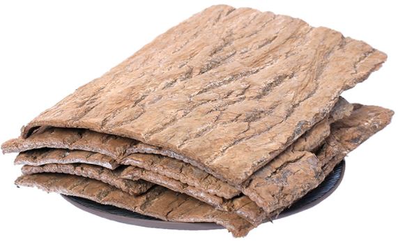 Raw material of Eucommia bark powder Raw material of Eucommia bark powder